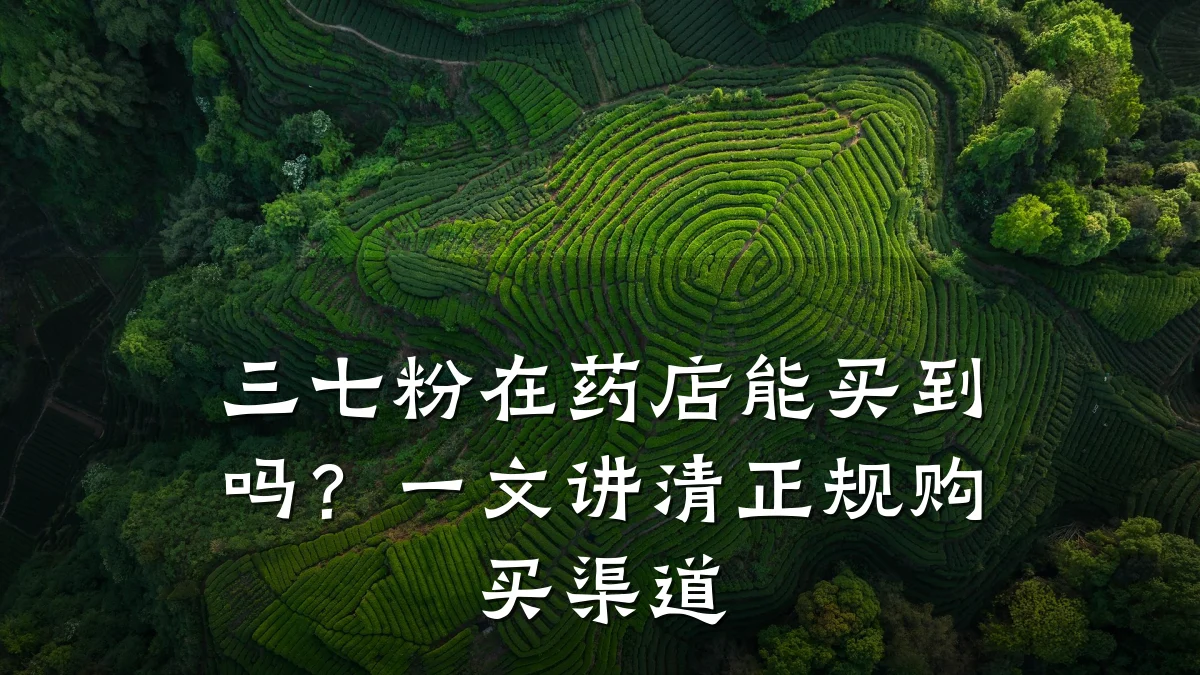 三七粉在药店能买到吗?一文讲清正规购买渠道