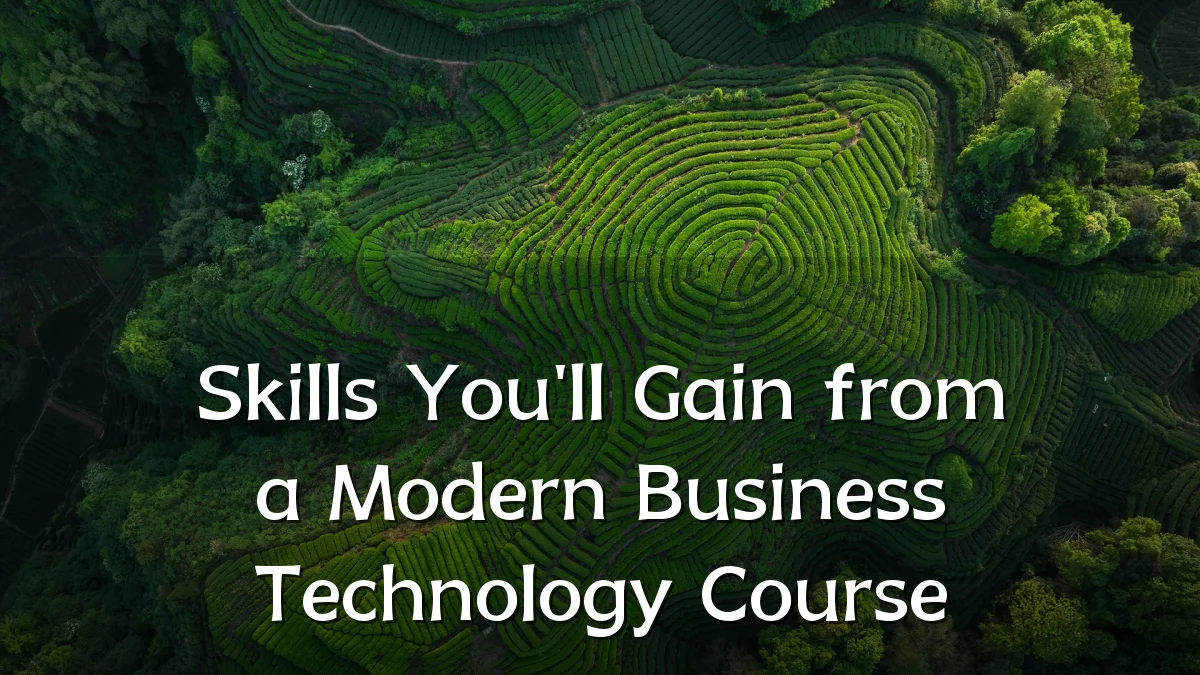 Skills You'll Gain from a Modern Business Technology Course