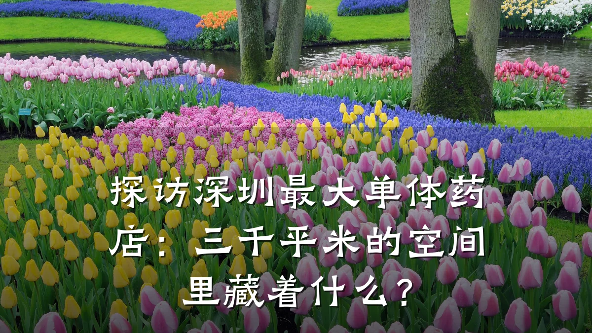 探访深圳最大单体药店:三千平米的空间里藏着什么?