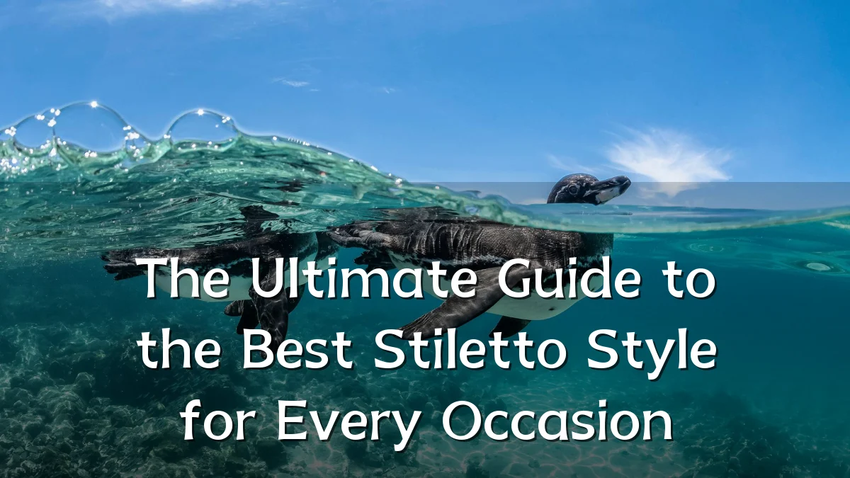 The Ultimate Guide to the Best Stiletto Style for Every Occasion