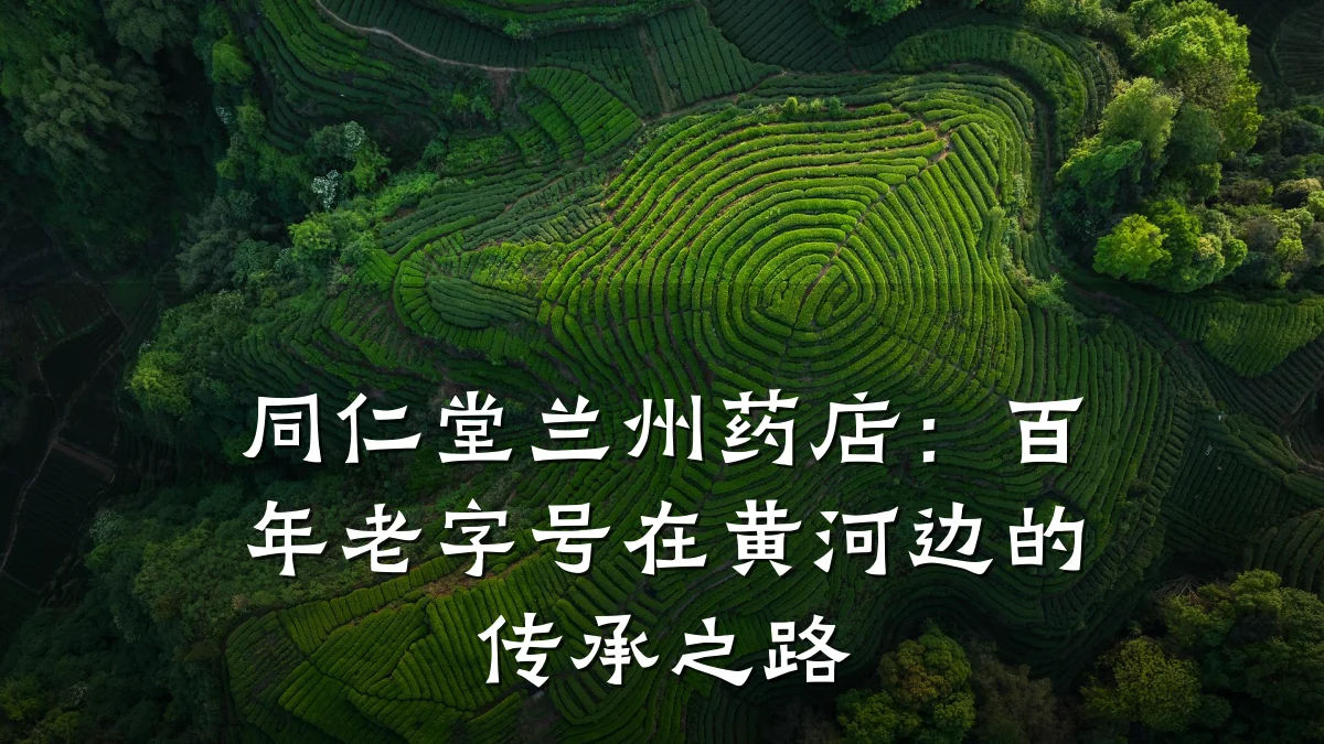 同仁堂兰州药店:百年老字号在黄河边的传承之路