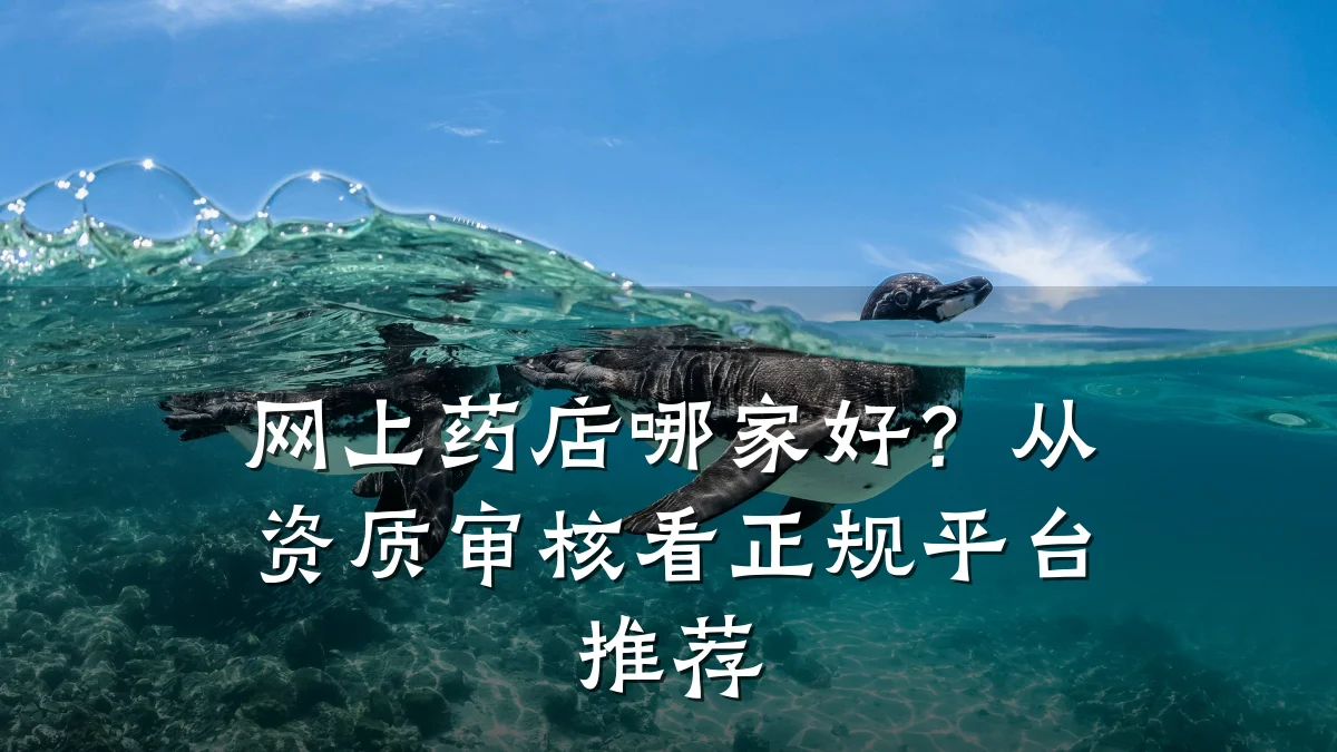 网上药店哪家好?从资质审核看正规平台推荐