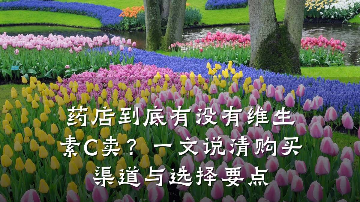 药店到底有没有维生素C卖?一文说清购买渠道与选择要点