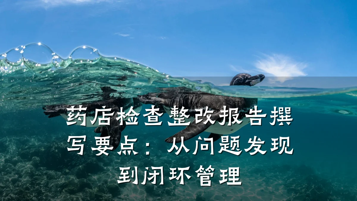 药店检查整改报告撰写要点:从问题发现到闭环管理