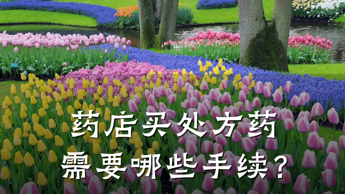 药店买处方药需要哪些手续?