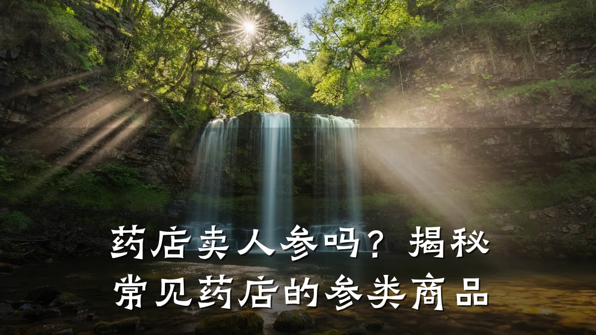 药店卖人参吗?揭秘常见药店的参类商品