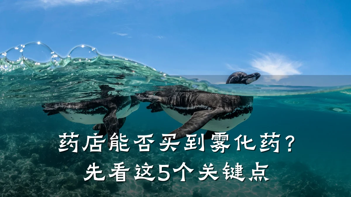 药店能否买到雾化药？先看这5个关键点