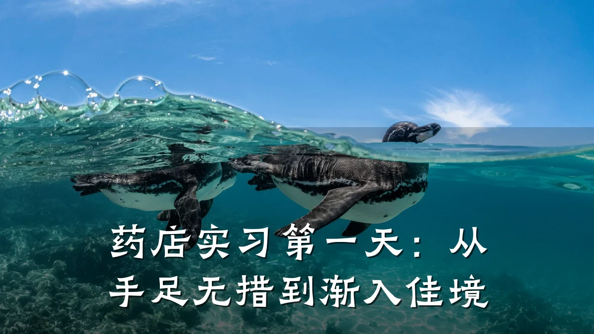 药店实习第一天:从手足无措到渐入佳境