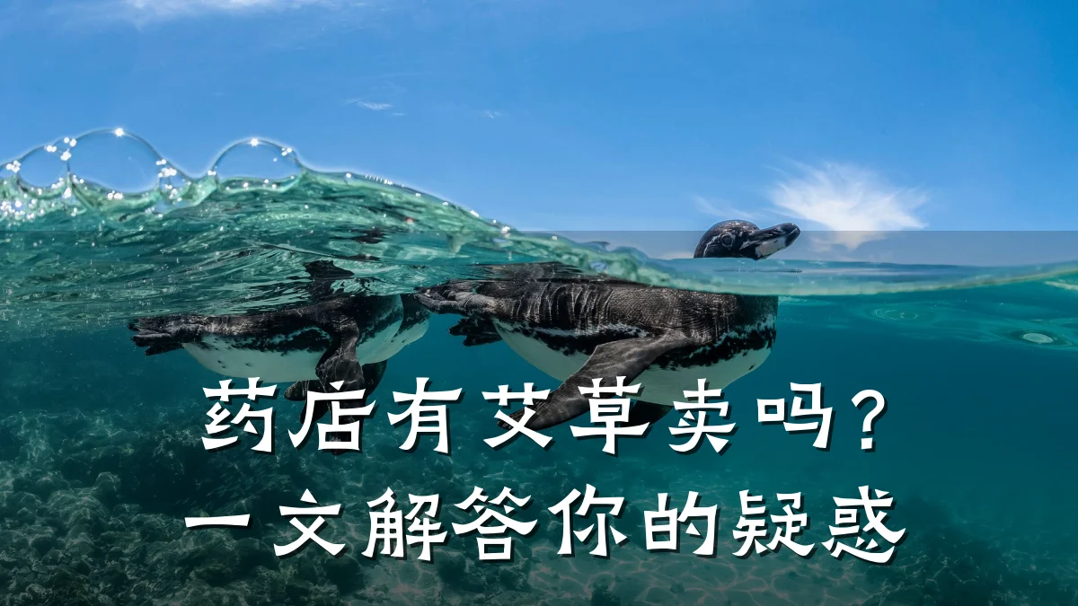药店有艾草卖吗?一文解答你的疑惑