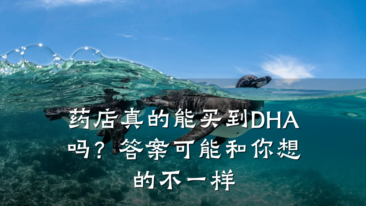 药店真的能买到DHA吗？答案可能和你想的不一样