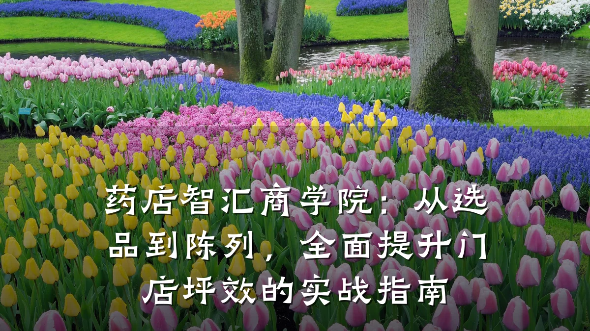 药店智汇商学院:从选品到陈列,全面提升门店坪效的实战指南