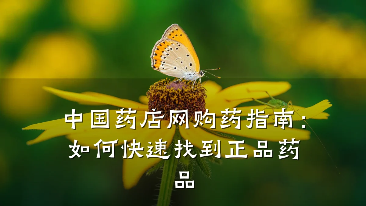 中国药店网购药指南:如何快速找到正品药品