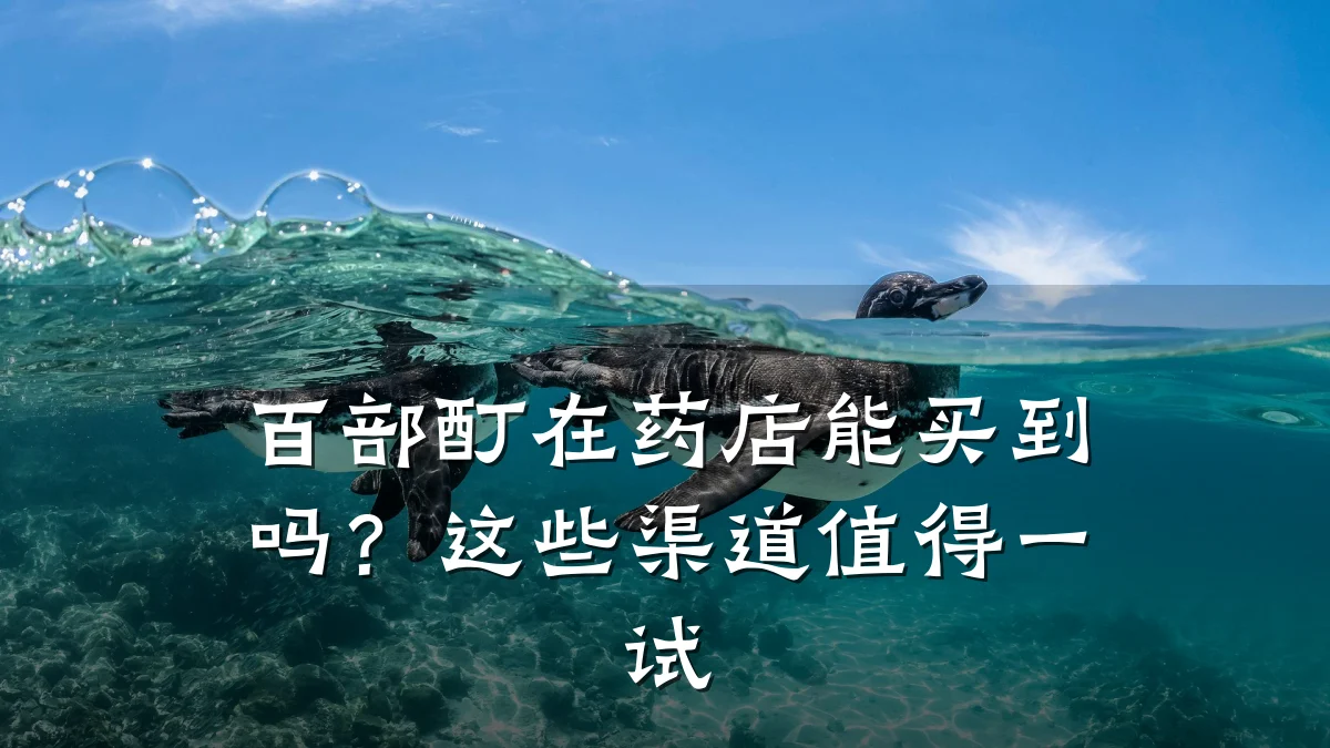 百部酊在药店能买到吗?这些渠道值得一试