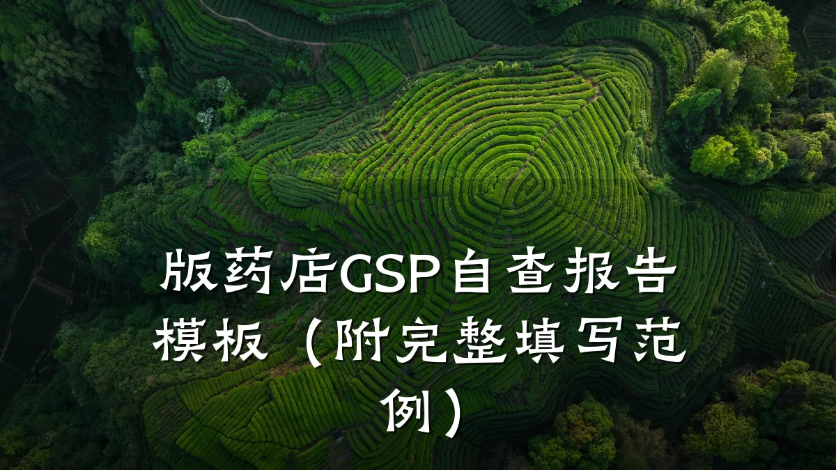 版药店GSP自查报告模板(附完整填写范例)