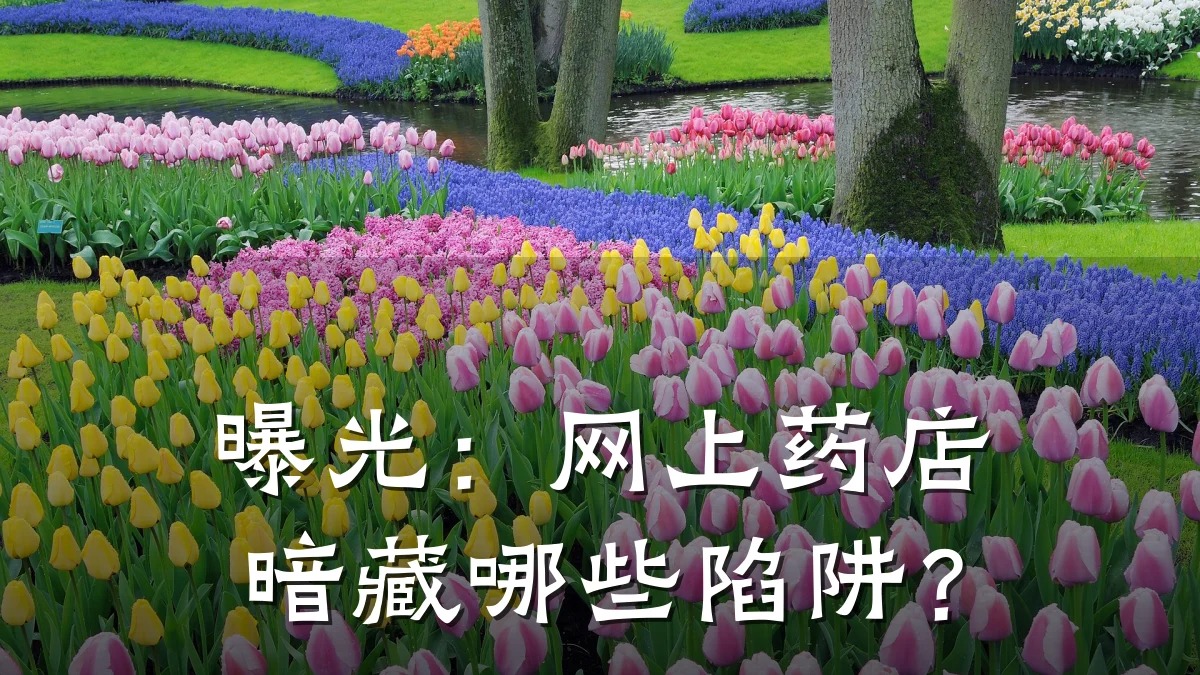 曝光:网上药店暗藏哪些陷阱?