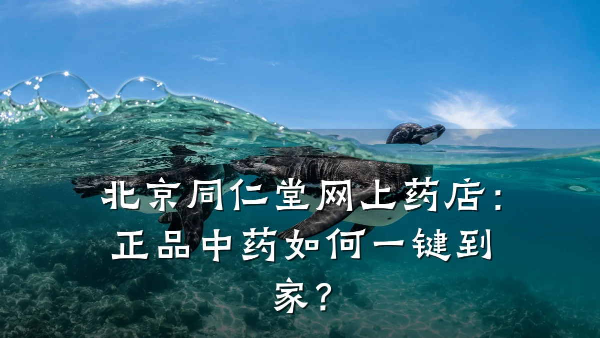 北京同仁堂网上药店：正品中药如何一键到家？