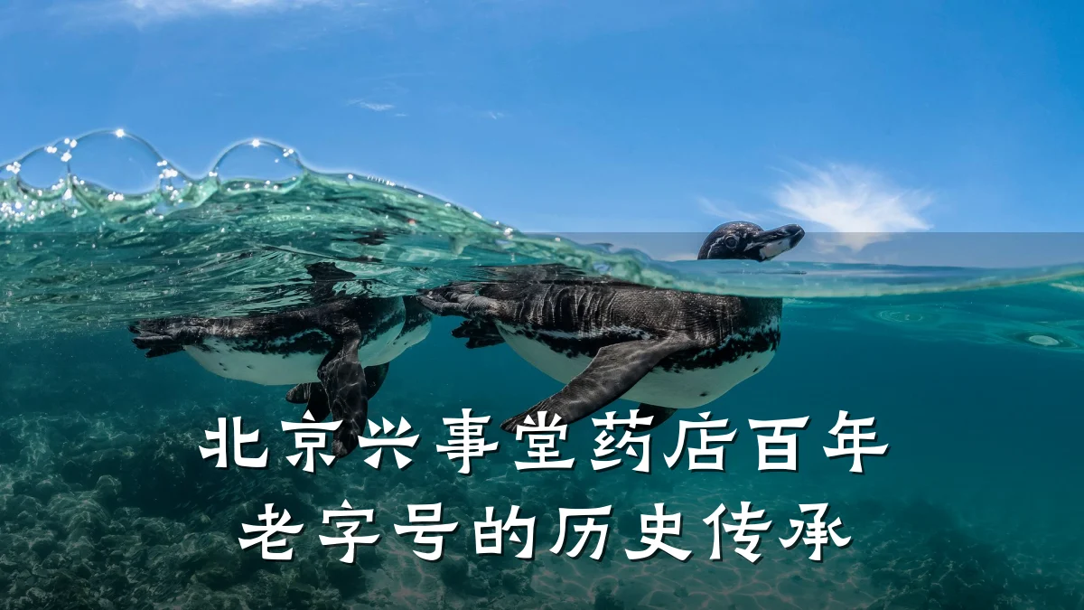 北京兴事堂药店百年老字号的历史传承