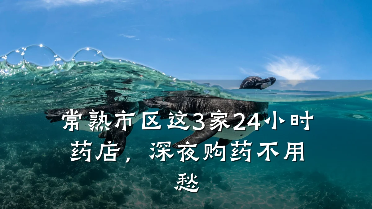 常熟市区这3家24小时药店,深夜购药不用愁
