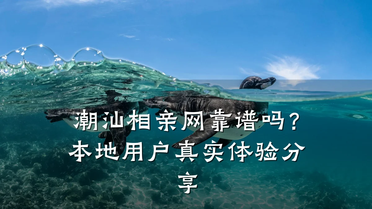 潮汕相亲网靠谱吗?本地用户真实体验分享