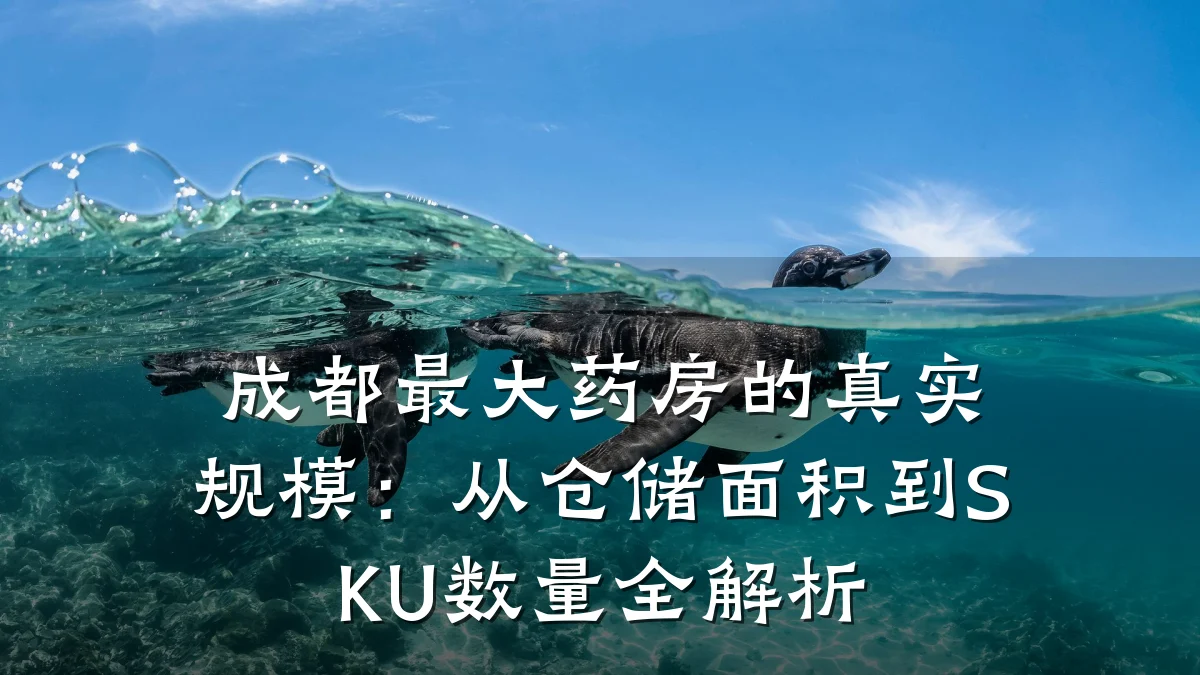 成都最大药房的真实规模：从仓储面积到SKU数量全解析