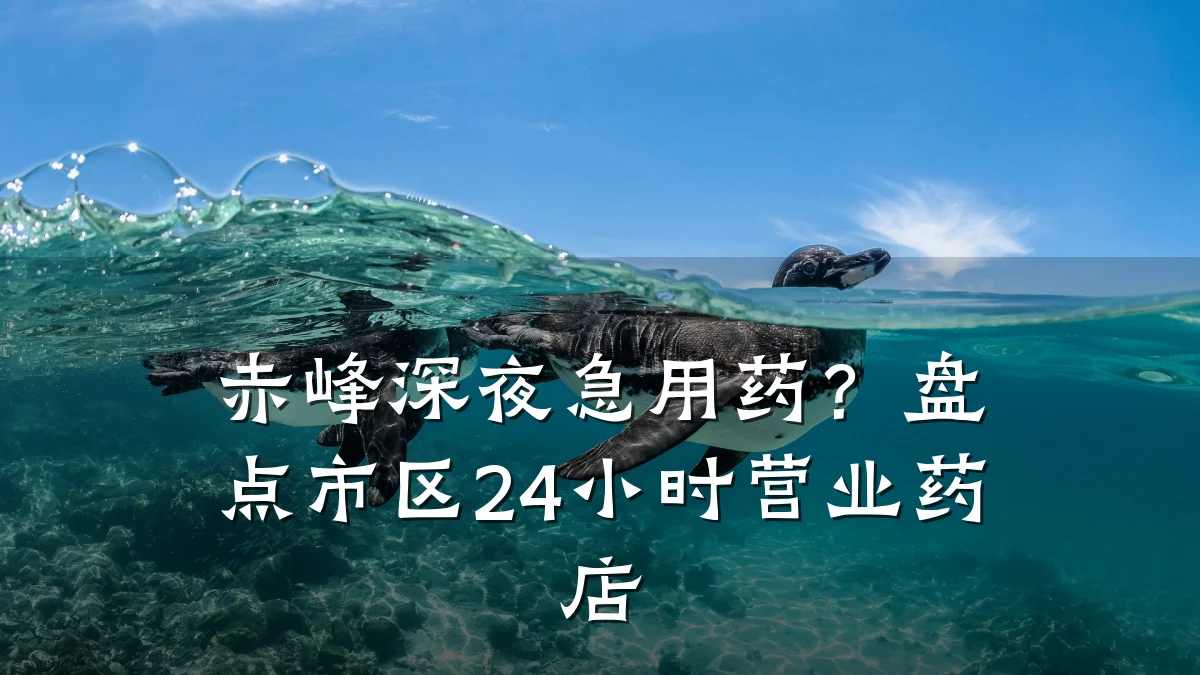 赤峰深夜急用药?盘点市区24小时营业药店