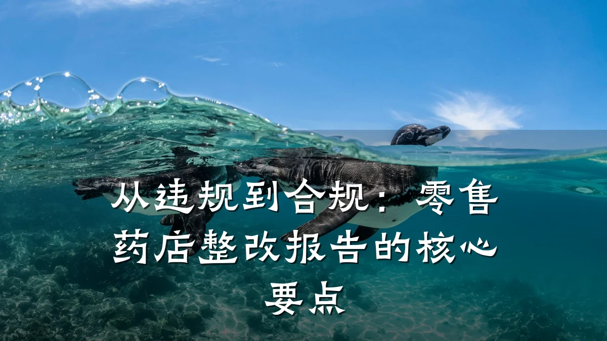 从违规到合规：零售药店整改报告的核心要点