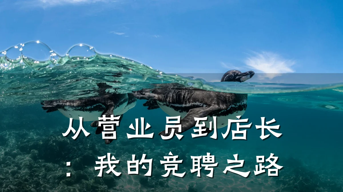 从营业员到店长:我的竞聘之路