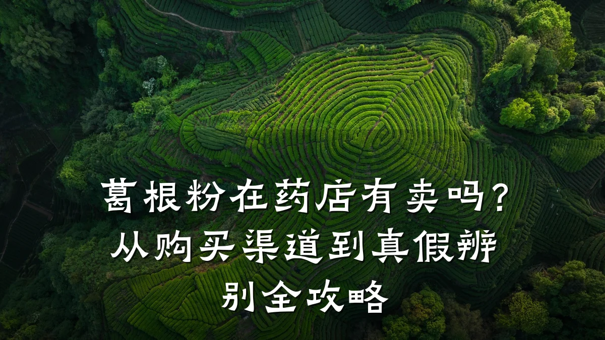 葛根粉在药店有卖吗？从购买渠道到真假辨别全攻略
