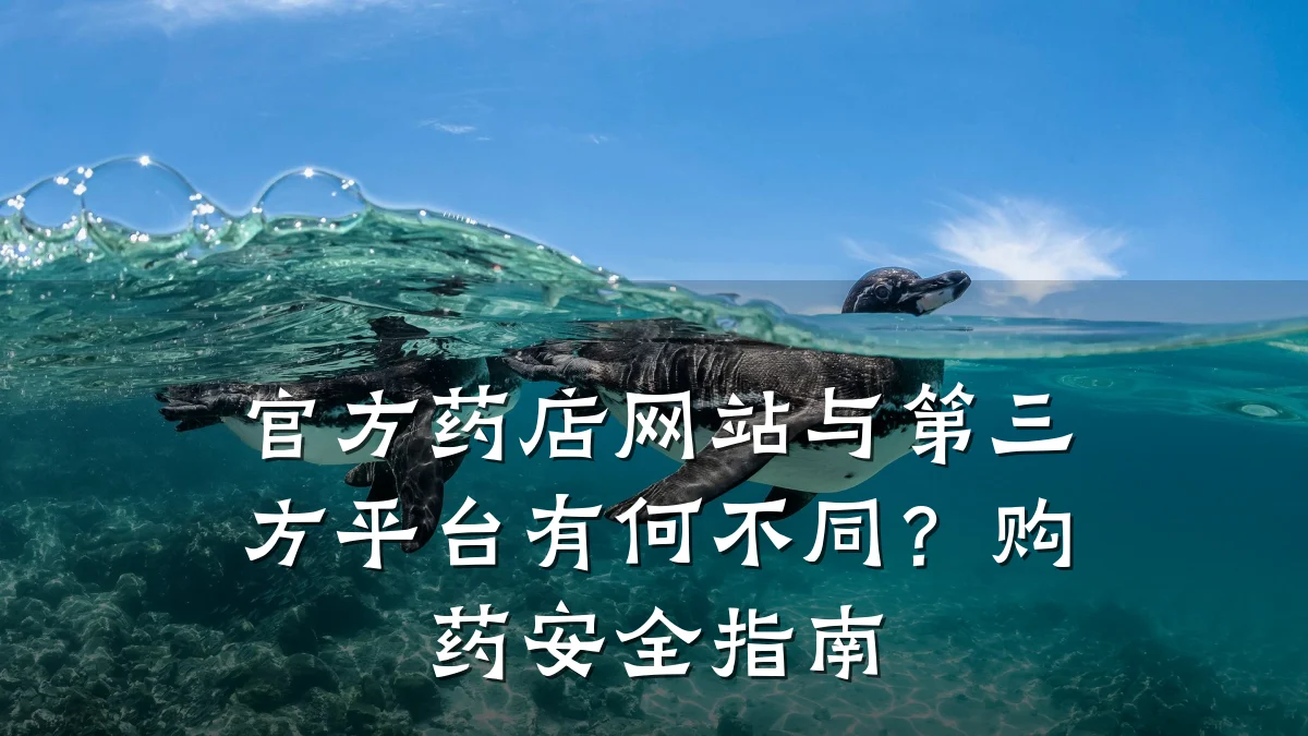 官方药店网站与第三方平台有何不同?购药安全指南