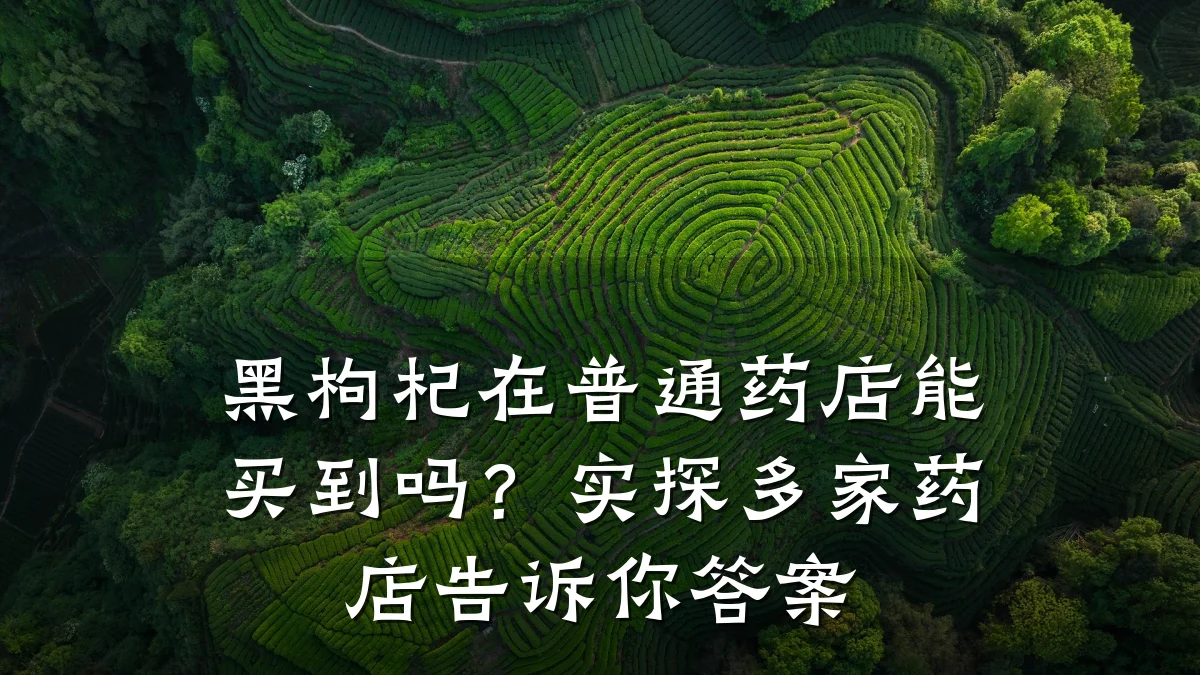 黑枸杞在普通药店能买到吗?实探多家药店告诉你答案