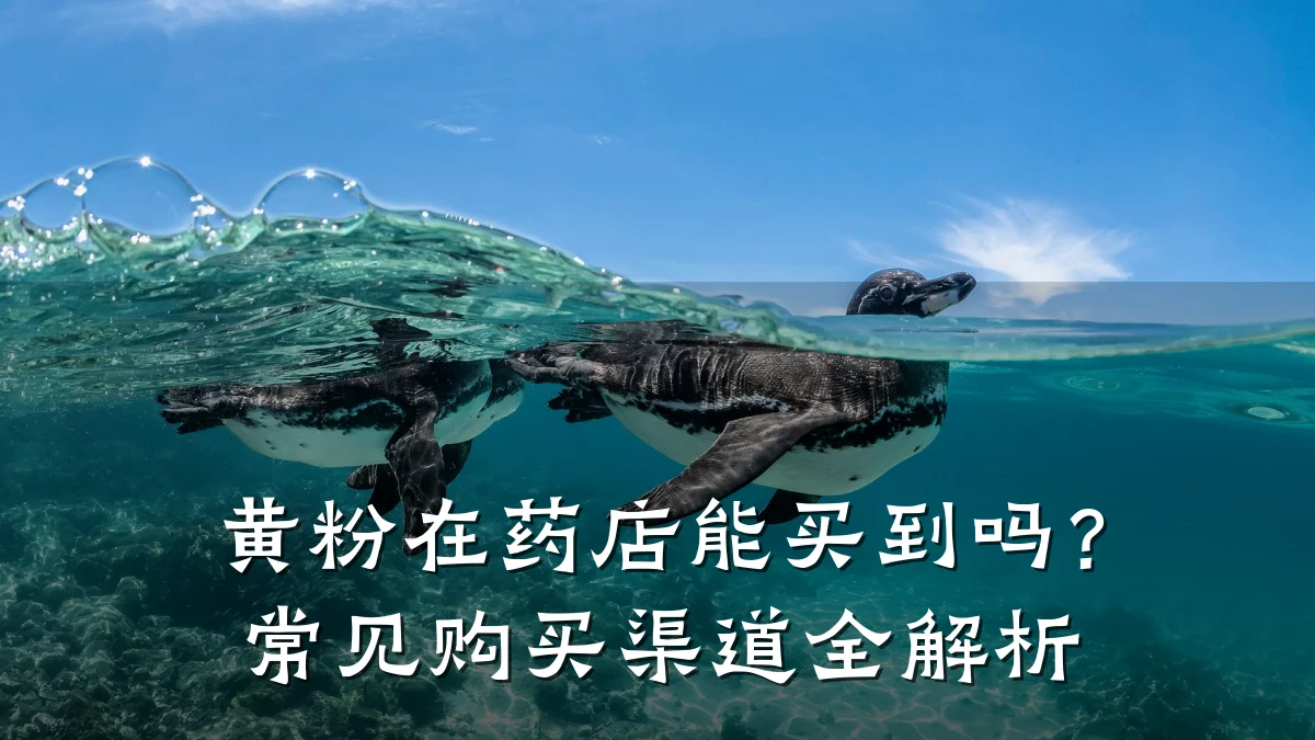 黄粉在药店能买到吗?常见购买渠道全解析