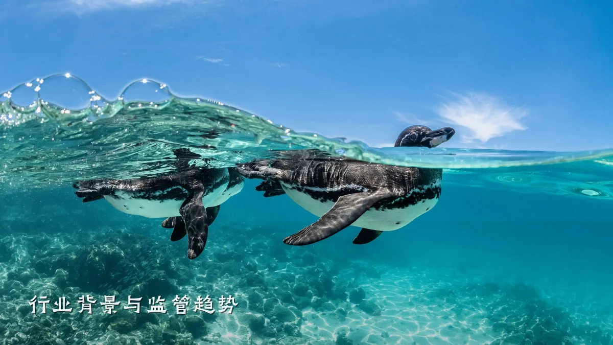 行业背景与监管趋势