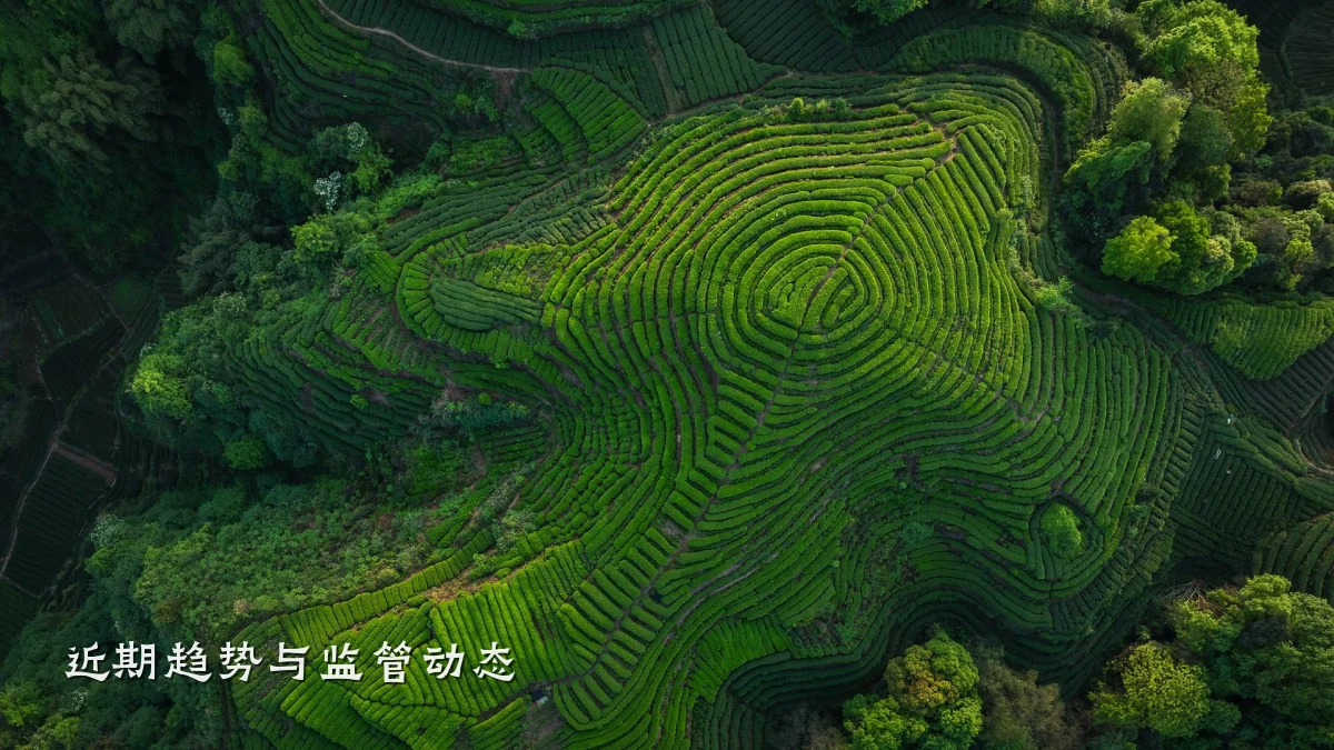 近期趋势与监管动态