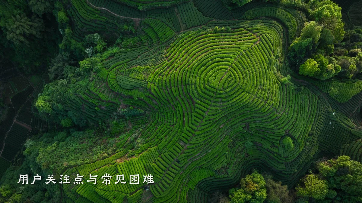 用户关注点与常见困难