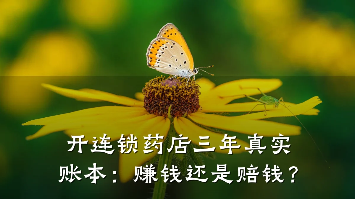 开连锁药店三年真实账本:赚钱还是赔钱?