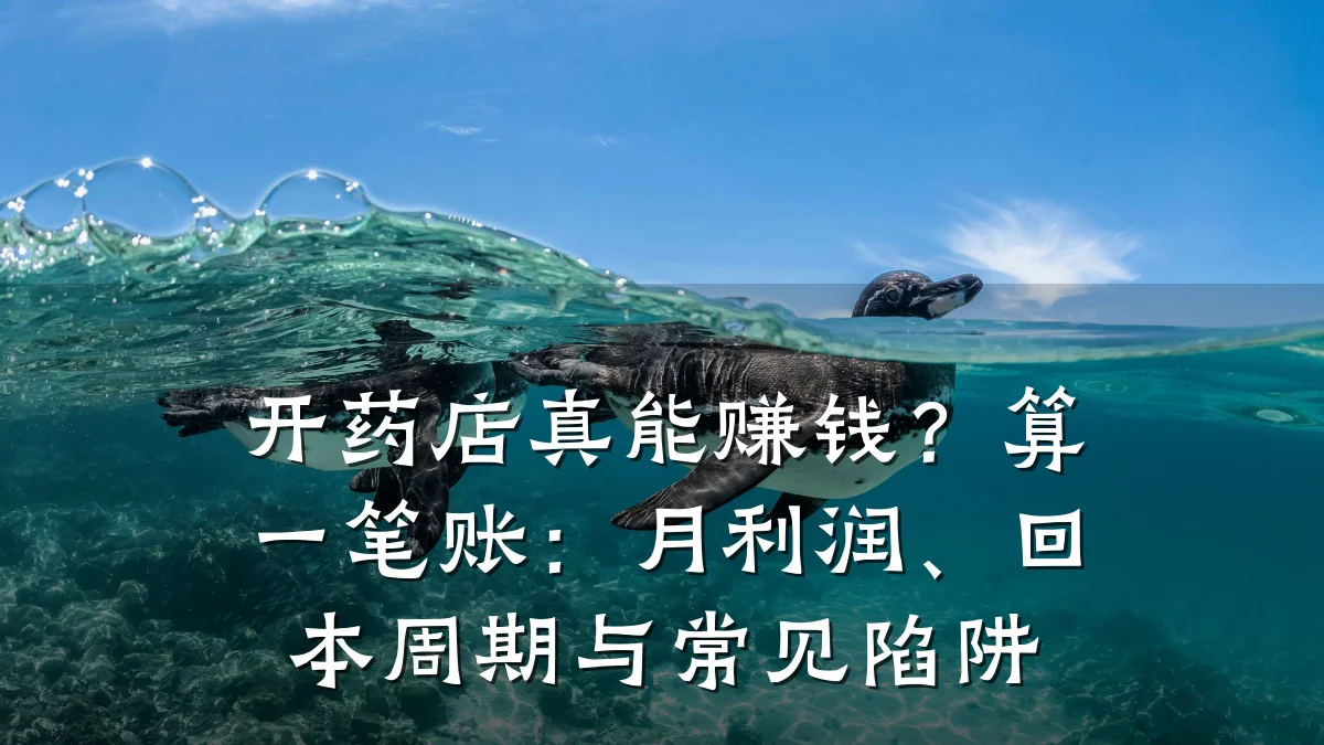 开药店真能赚钱?算一笔账:月利润、回本周期与常见陷阱