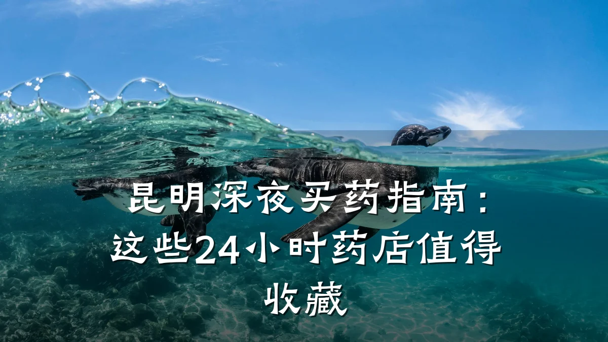 昆明深夜买药指南:这些24小时药店值得收藏