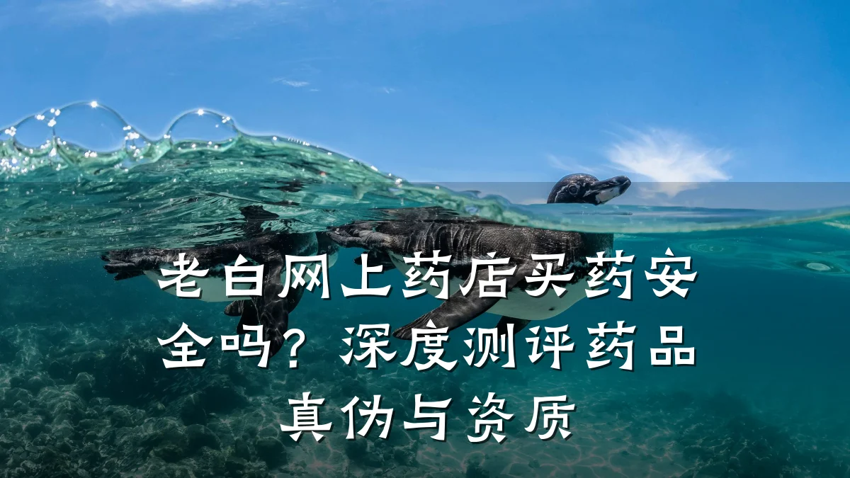 老白网上药店买药安全吗?深度测评药品真伪与资质