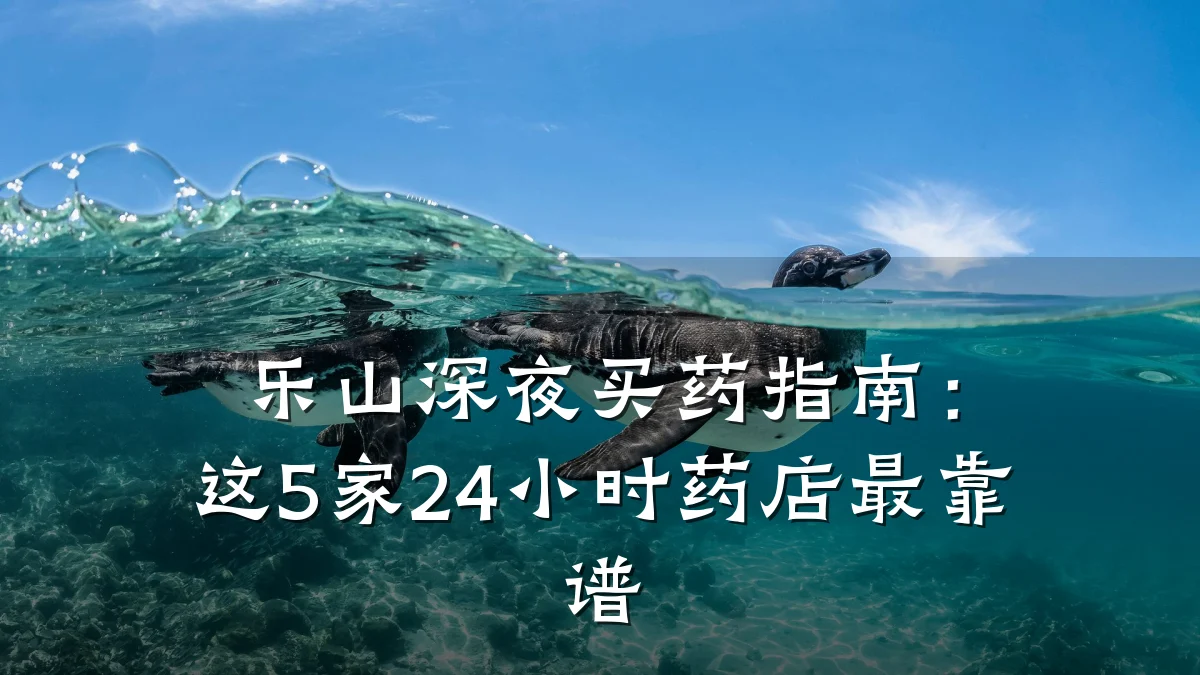 乐山深夜买药指南:这5家24小时药店最靠谱