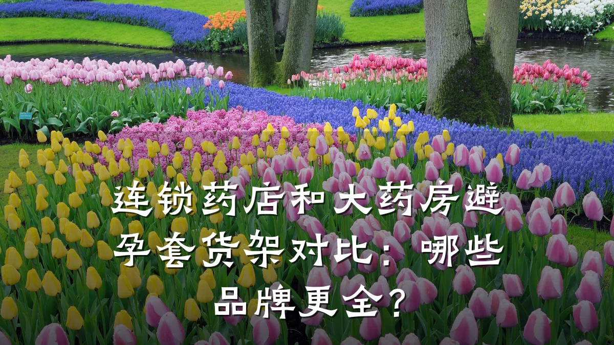 连锁药店和大药房避孕套货架对比：哪些品牌更全？