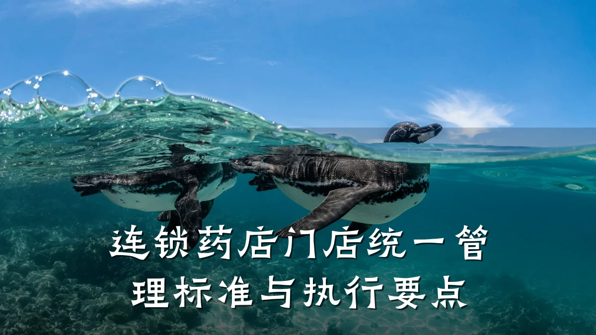 连锁药店门店统一管理标准与执行要点