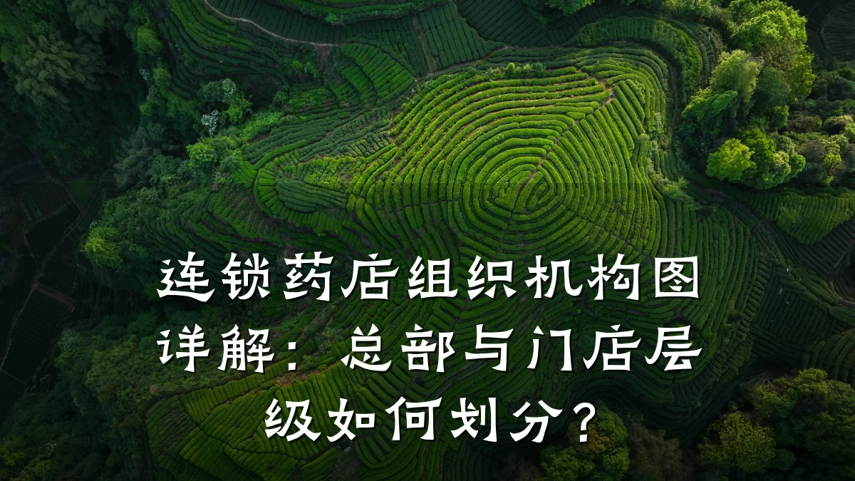 连锁药店组织机构图详解:总部与门店层级如何划分?