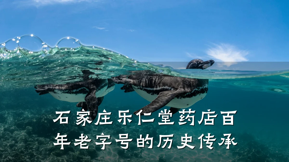 石家庄乐仁堂药店百年老字号的历史传承