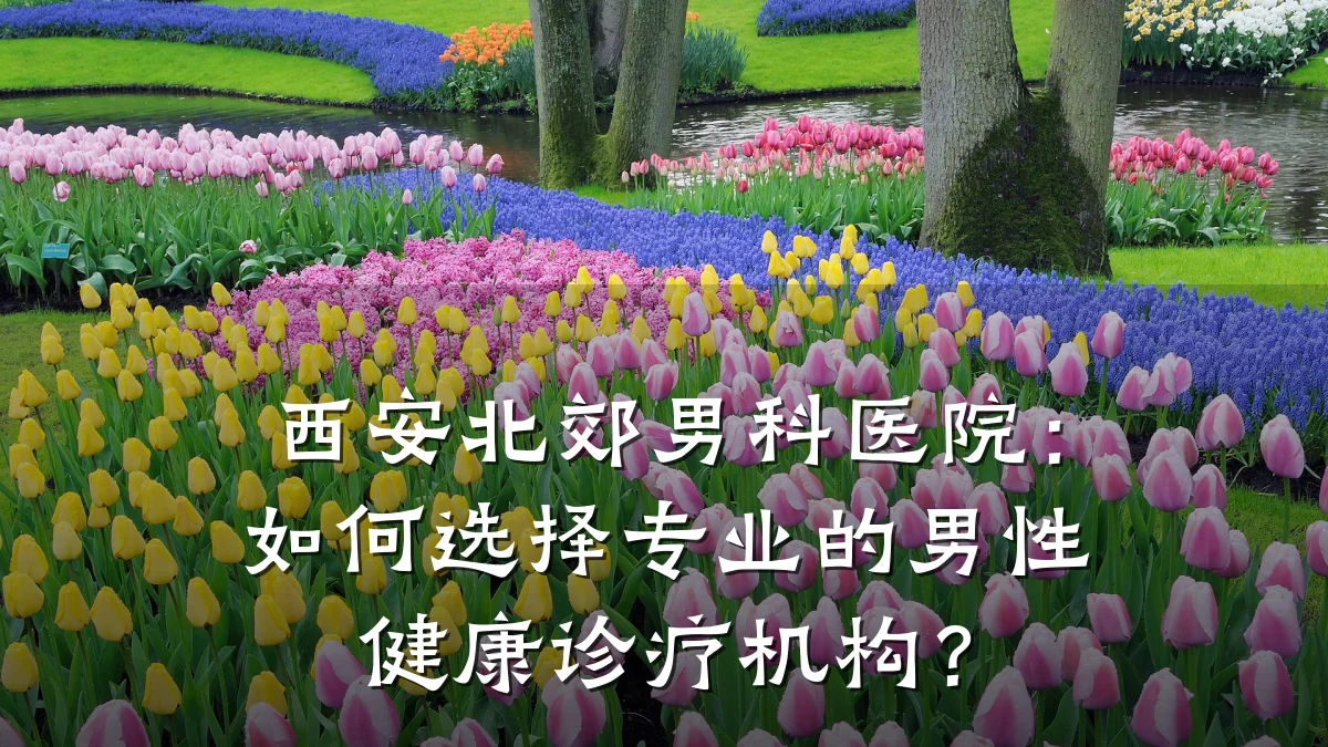 西安北郊男科医院：如何选择专业的男性健康诊疗机构？