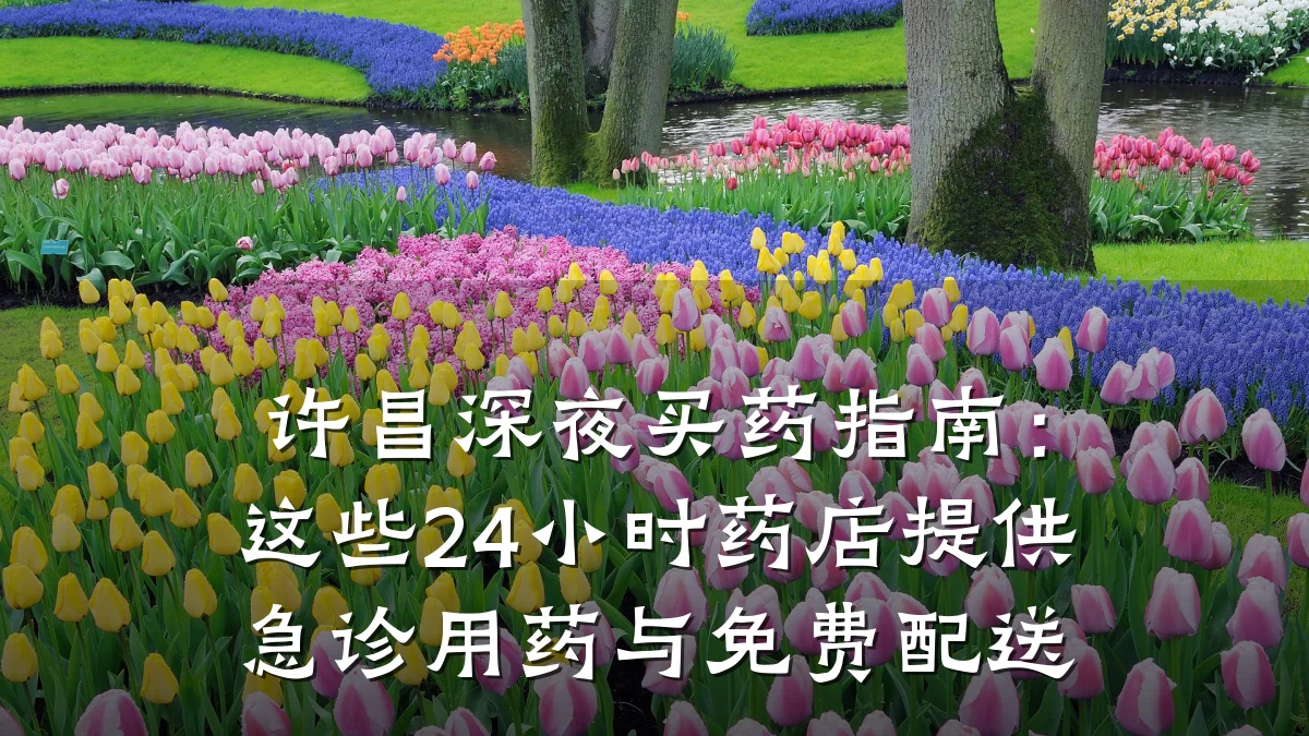 许昌深夜买药指南:这些24小时药店提供急诊用药与免费配送