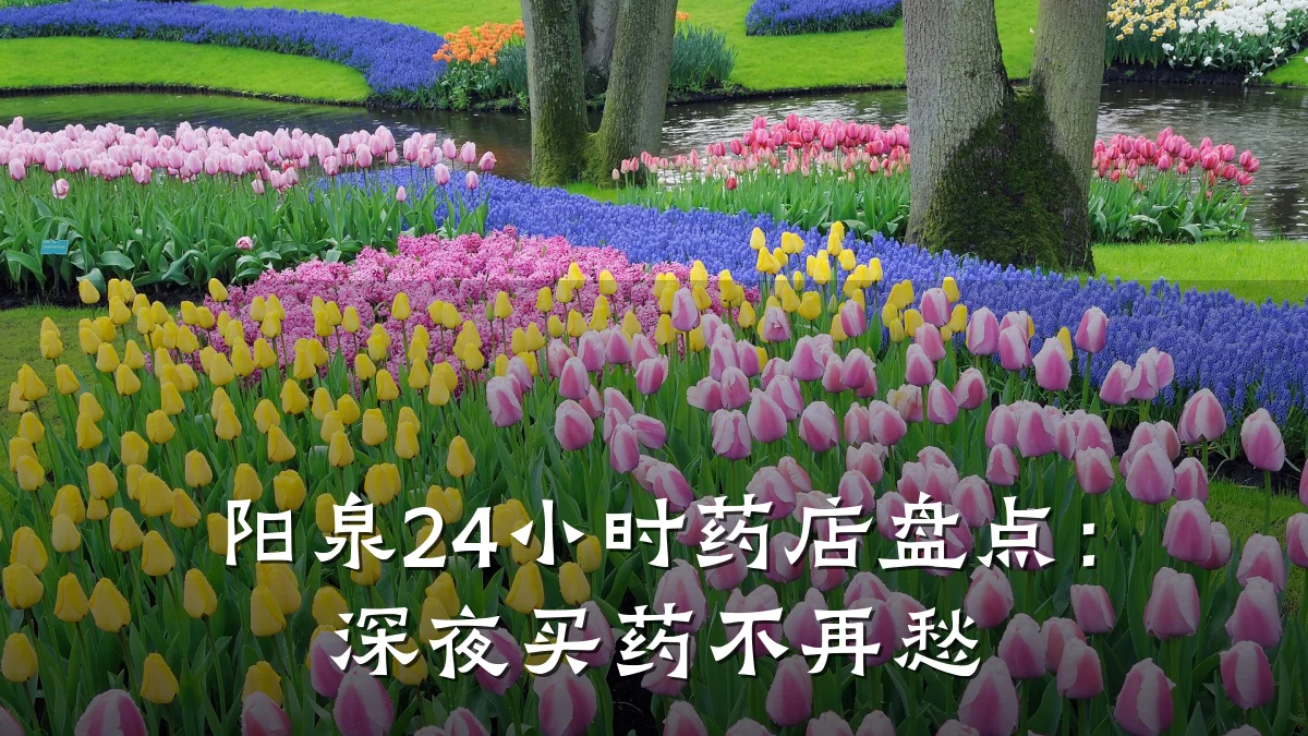 阳泉24小时药店盘点:深夜买药不再愁