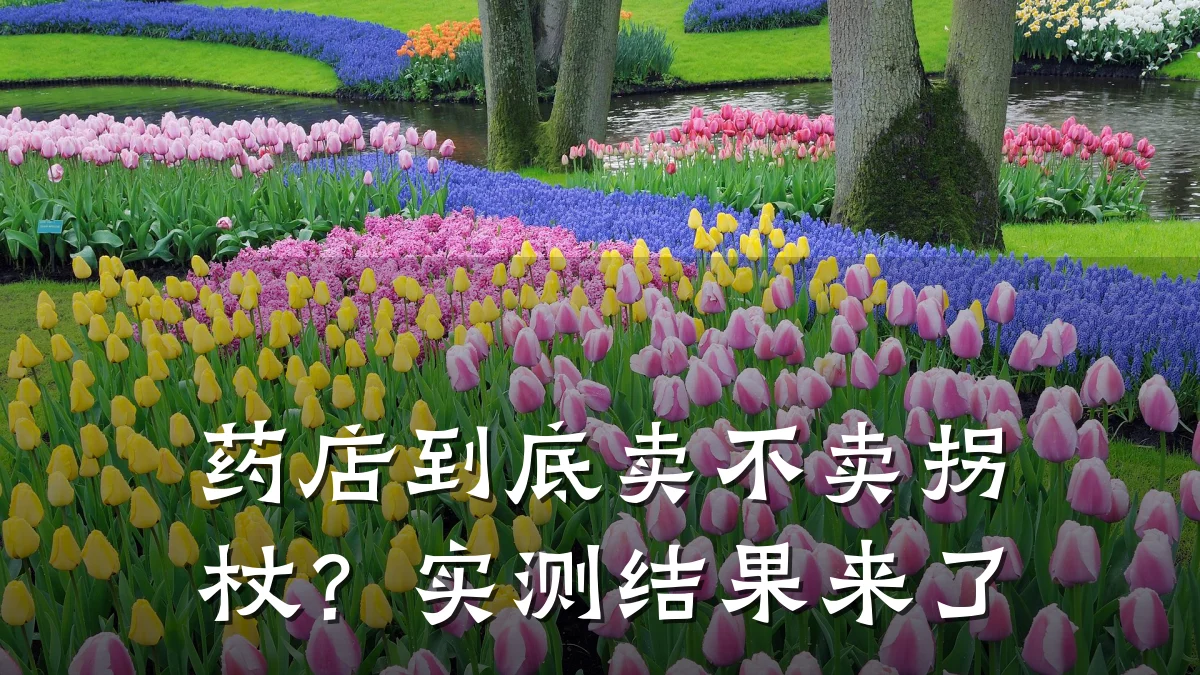 药店到底卖不卖拐杖？实测结果来了