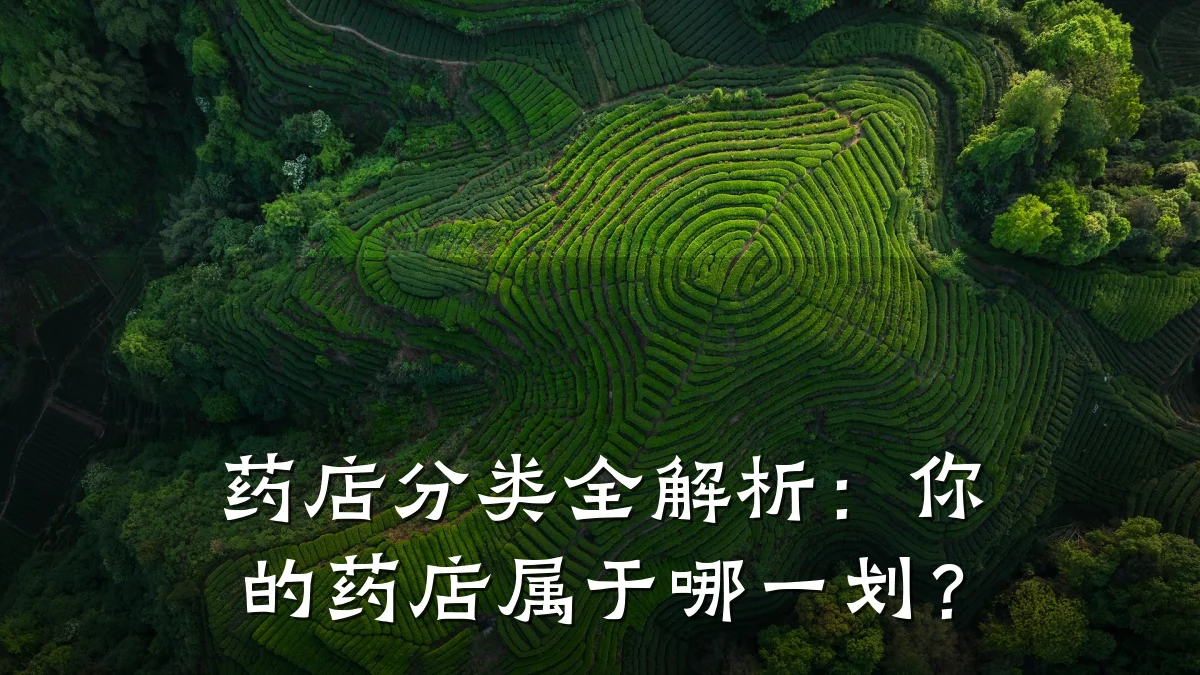 药店分类全解析:你的药店属于哪一划?