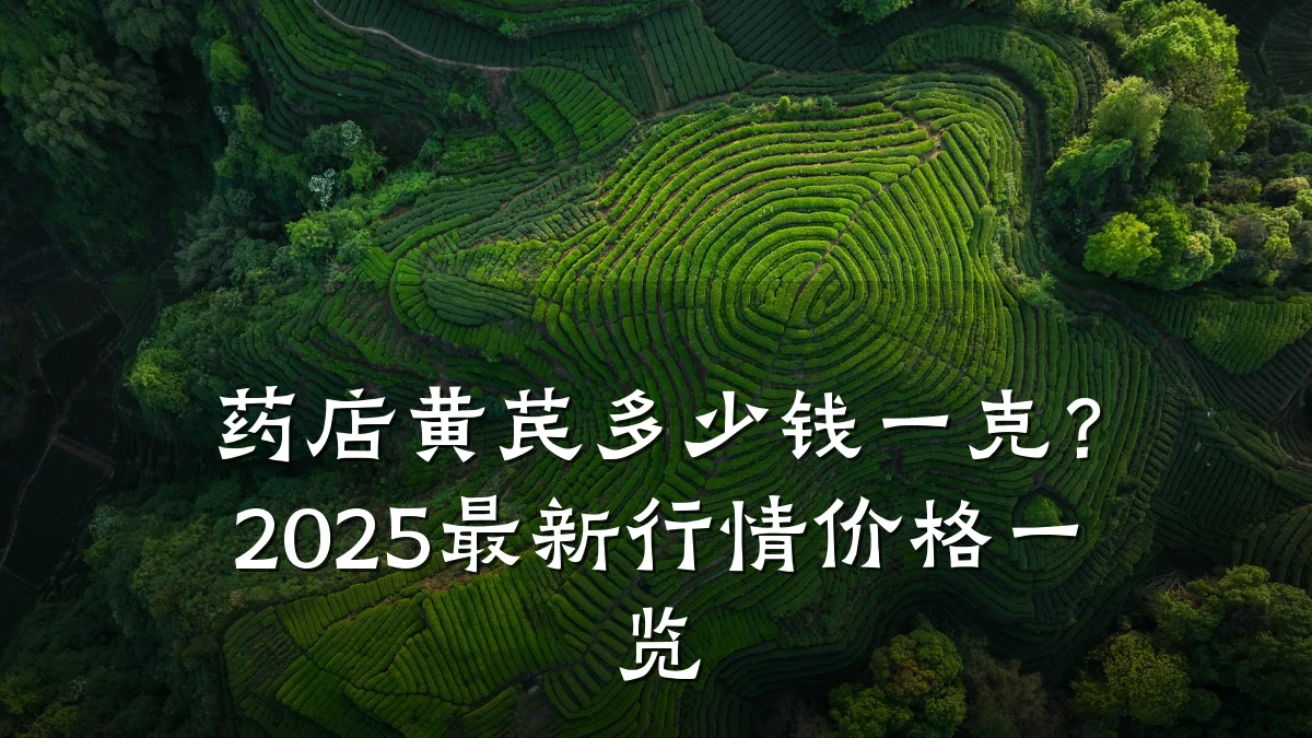 药店黄芪多少钱一克?2025最新行情价格一览