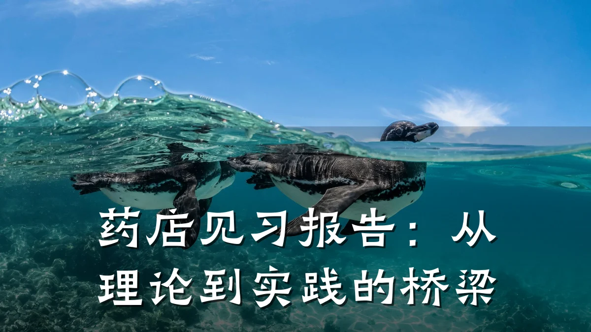 药店见习报告:从理论到实践的桥梁